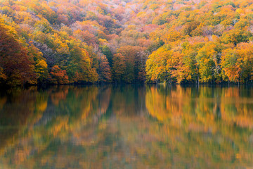 Reflection of Tsuta Numa, beautiful pond in Japan, Aomori prefecture