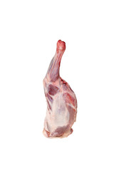 Raw lamb leg isolated on white background.