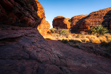 Obraz premium Outback landscape, Central Australia, Northern Territory