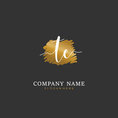 Handwritten initial letter T E TE for identity and logo. Vector logo template with handwriting and signature style.