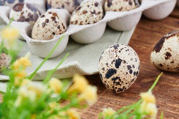 Quail eggs on wooden table with festive flowers decoration for Easter close up