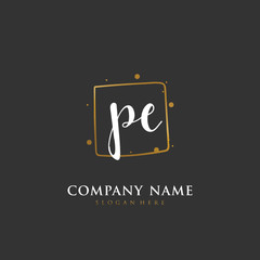 Handwritten initial letter P E PE for identity and logo. Vector logo template with handwriting and signature style.