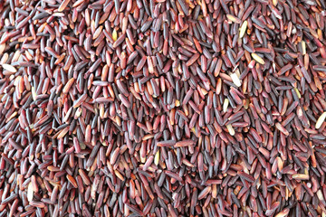 Deep Purple Uncooked Rice-berry Rice Grains for Background or Wallpaper