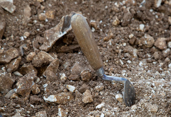 Archeologists trowel in a dig 