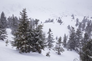 Obraz premium Landscape of the Giant mountains (Krkonose) in winter