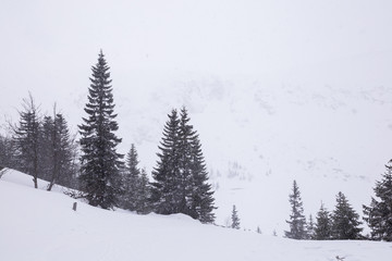 Landscape of the Giant mountains (Krkonose) in winter