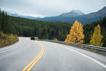 Fototapeta premium Road trip with rocky mountains in autumn forest at Banff national park