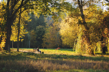 Girl rests on park bench among beams of sunlight streaming through trees and on fallen leaves on a mild autumn day