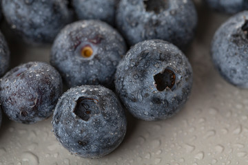 Fresh blueberry berries close up with water drops