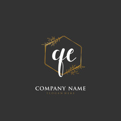 Handwritten initial letter Q E QE for identity and logo. Vector logo template with handwriting and signature style.