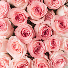 Floral composition with pink rose flowers pattern texture background. Flatlay, top view.