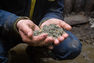 Gold ore pyrite specimen in miners hand