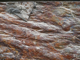 Stone texture in brown, black and white colors