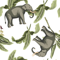 Tropical vintage elephant animal, banana leaves floral seamless pattern white background. Exotic jungle wallpaper.