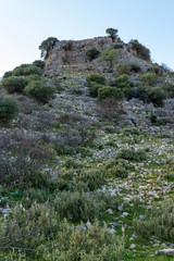 Close-up Side Mountain