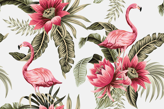 Flamingo Wallpaper Images – Browse 23,607 Stock Photos, Vectors, and Video  | Adobe Stock