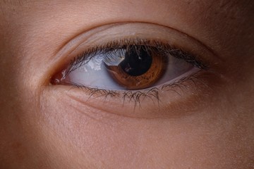 A brown eye macro shot