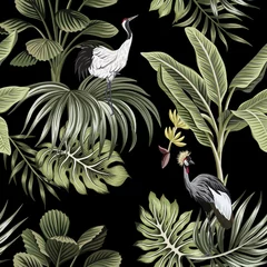 Behang Tropische print Tropische vintage nacht kraanvogel, palmbomen, bananenboom, palmbladeren naadloze bloemmotief donkere achtergrond. Exotisch botanisch junglebehang.