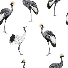 Tropical vintage botanical crane bird seamless pattern white background. Exotic animal wallpaper.