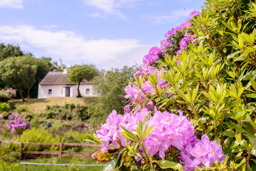 Pearce Cottage