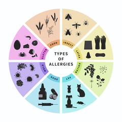 Types of allergies infographics design vector illustration. Animal hair, latex, drugs, insect, food, gluten, pollen allergy. Banner template with different allergen symbols