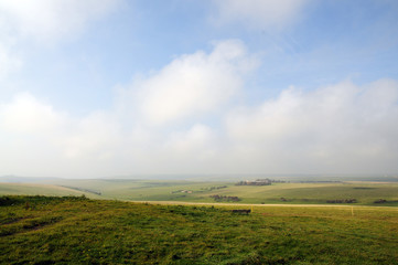 grassland landscape