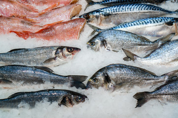 Fresh seafood on crushed ice, close-up.