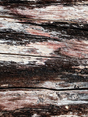 Dry old wood texture, cracked wood, wood background