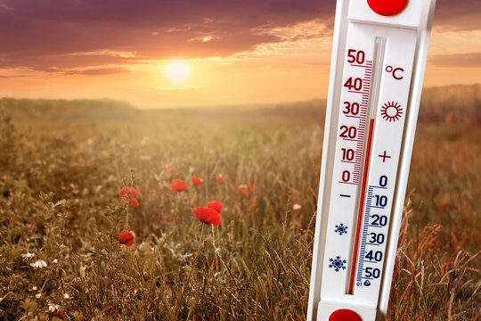 The thermometer on the background of the field at sunset shows 30 degrees of heat_