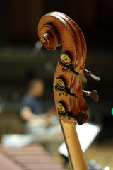 Contrebasse