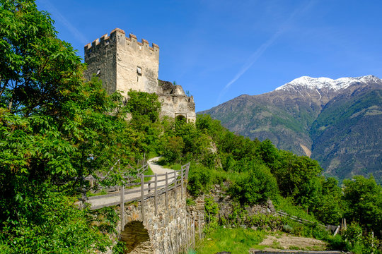 Italy, South Tyrol, Morter, Castle Obermontani surrounded by green trees