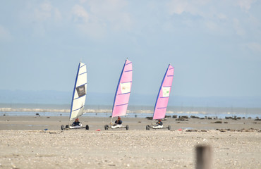 Char à voile dans la Baie du Mont Saint Michel en Bretagne