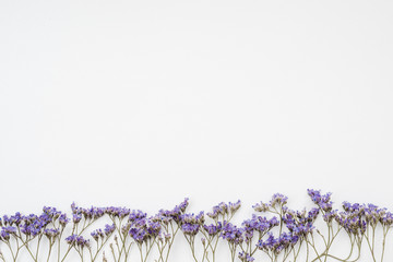 Bouquet of dried wild flowers on a white background of white background top view