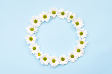 Nature background, white daisies arranged in a circle on white background with copy space