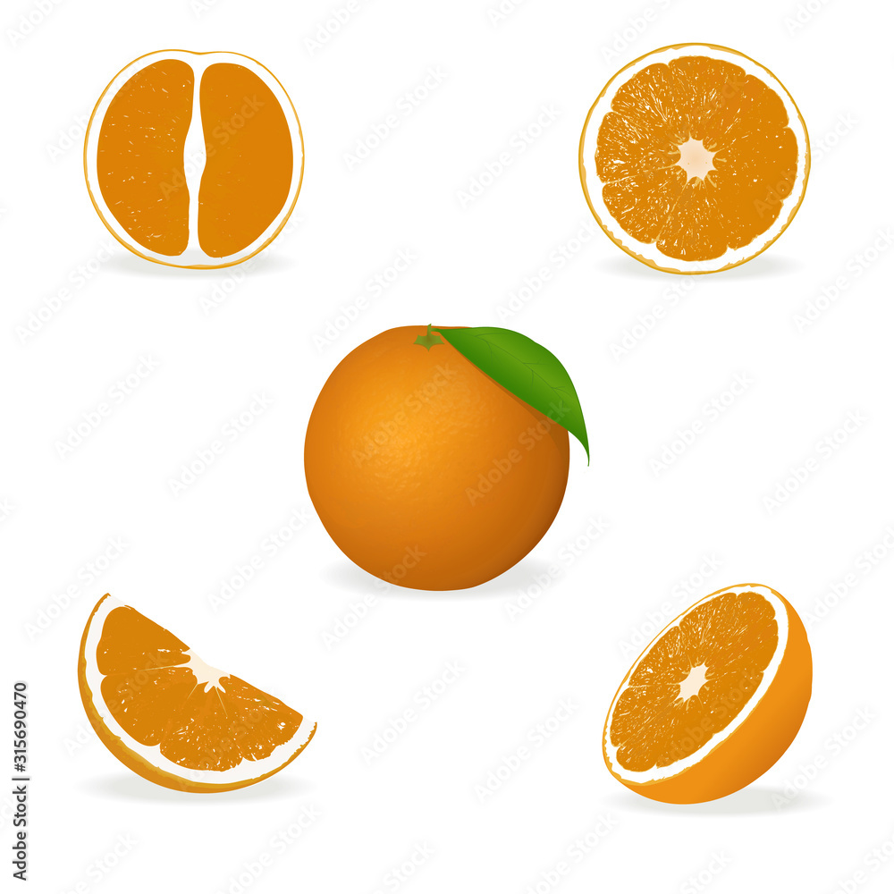 Poster vector image of an orange and the set of its sliced cuts from different angles, isolated on white ba