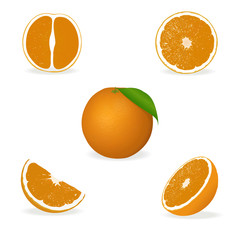 Vector image of an orange and the set of its sliced cuts from different angles, isolated on white background