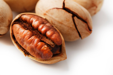 Pecan isolated on white background. Close-up, macro. A nut in a shell.