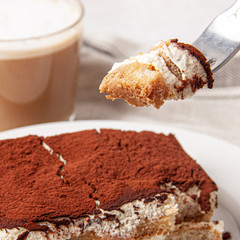 Tasty piece of tiramisu on a fork. Homemade tiramisu closeup.
