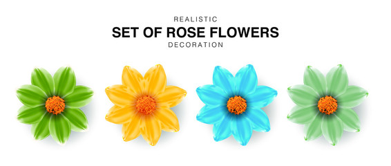 Realistic set of rose flowers decoration. Isolated vector illustration. Roses 3d Multicolored