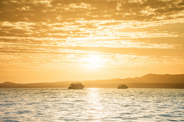 Fototapeta na wymiar Tourist cruise boats at sunset, Sharm El Sheikh resort, Egypt