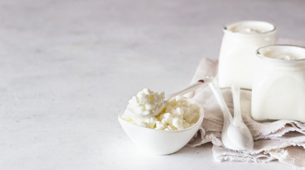 Milk mushroom and natural homemade organic yogurt in glass jars. Organic probiotic fermented milk...