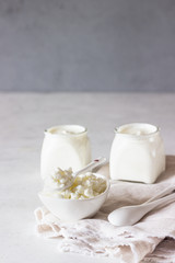 Milk mushroom and natural homemade organic yogurt in glass jars. Organic probiotic fermented milk products in a white ceramic bowl. Fermented foods, healthy eating concept. 