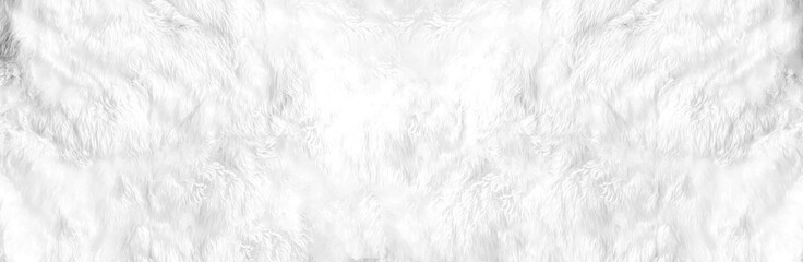 Closeup animal white wool sheep panoramic background in top view light, wide grey fluffy seamless cotton texture. Wrinkled lamb fur coat skin, rug mat raw material, fleece woolly textile concept - obrazy, fototapety, plakaty