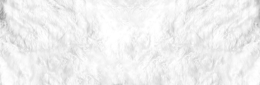 Closeup animal white wool sheep panoramic background in top view light, wide grey fluffy seamless cotton texture. Wrinkled lamb fur coat skin, rug mat raw material, fleece woolly textile concept