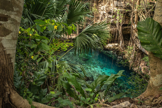 Hidden Cenote