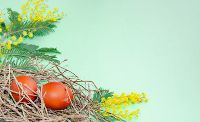 Traditional Easter eggs in the nest dyed using onion skins and mimosa flowers on green background. Top view with copy space.