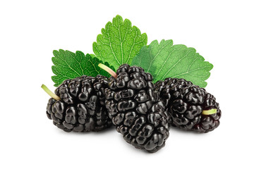 Mulberry with leaf isolated on white background