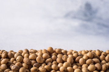 Raw Green Healthy Lentils Healthy Eating Close-up