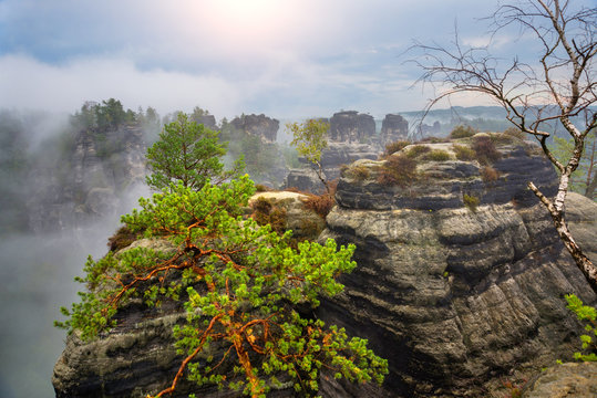 National park Saxon Switzerland, Germany: View from viewpoint of Bastei
