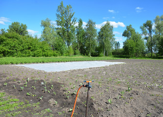 White nonwoven fabric or nonwoven geotextile , spunbond greenhouse in country garden.